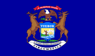 Michigan Flags